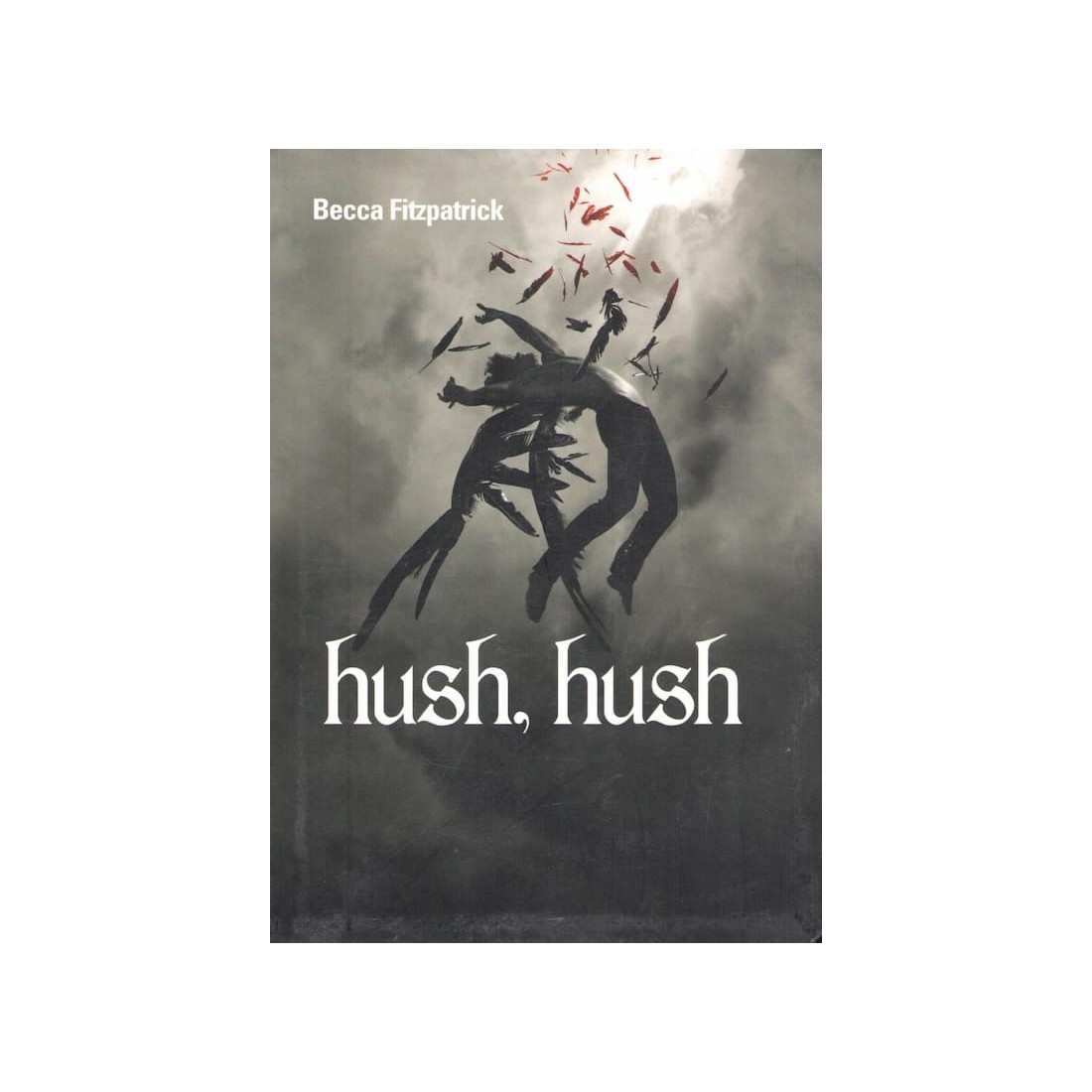 HUSH, HUSH - 350 pages