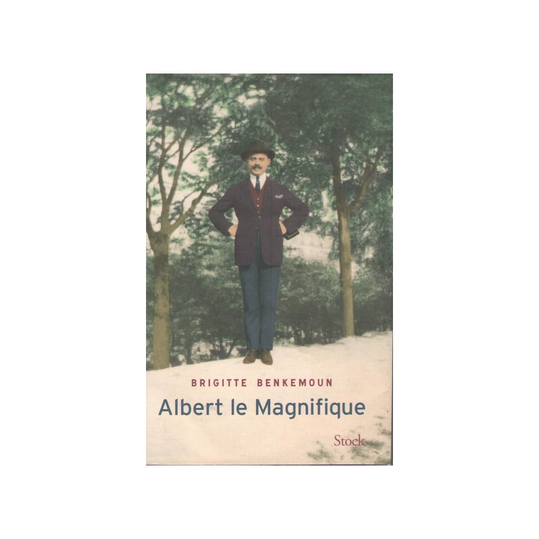 Albert le Magnifique - Roman de Brigitte Benkemoun - Ocazlivres.com