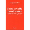Immortelle randonnée - Jean Christophe Rufin - Ocazlivres.com